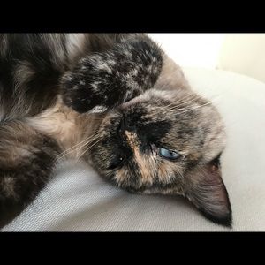 Meet your Posher, Julie